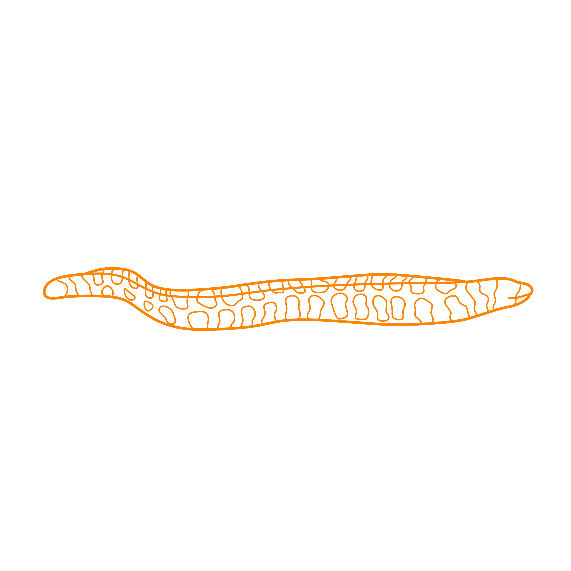 Animals Eels Snowflake Moray Simple Line Art Svg Free Vectors